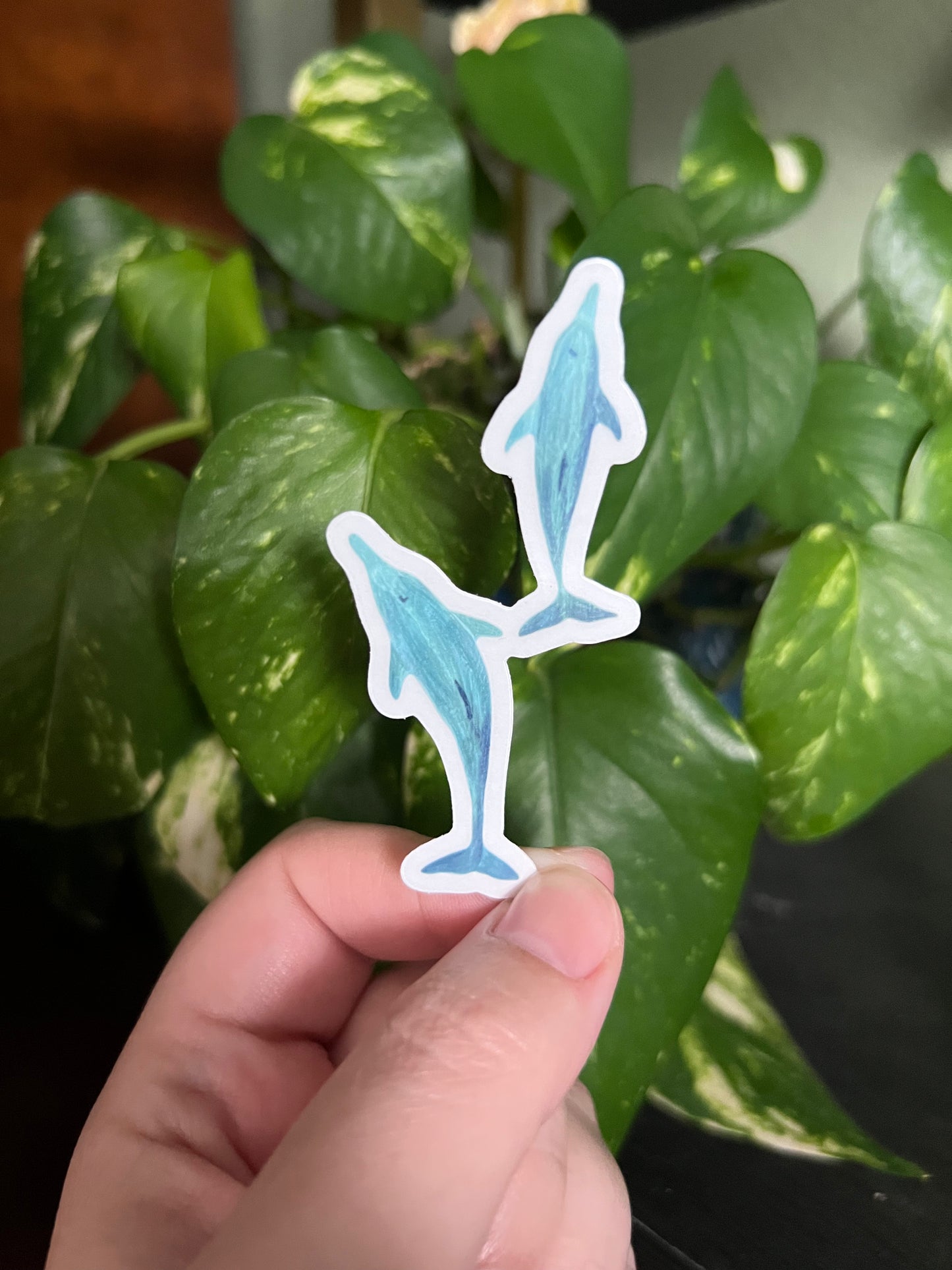 Bottlenose Besties Clear Die Cut Sticker