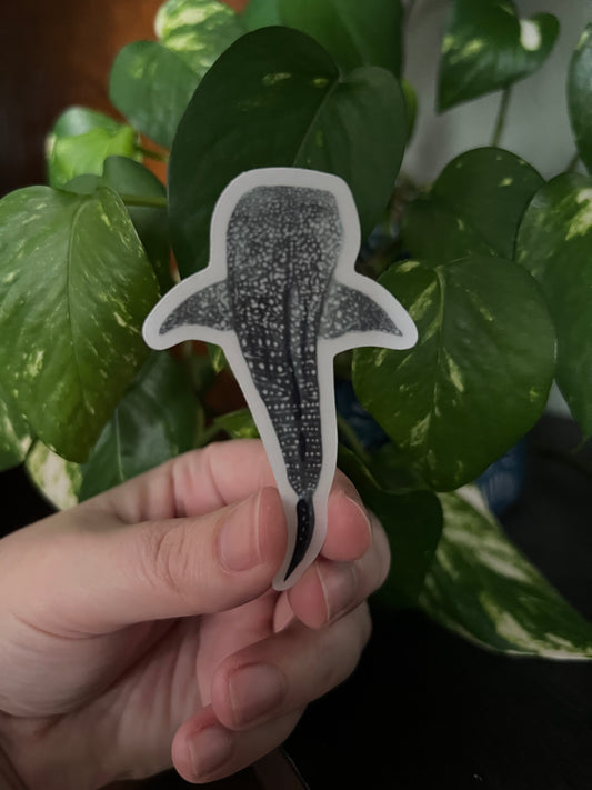Whale Shark Clear Die Cut Sticker