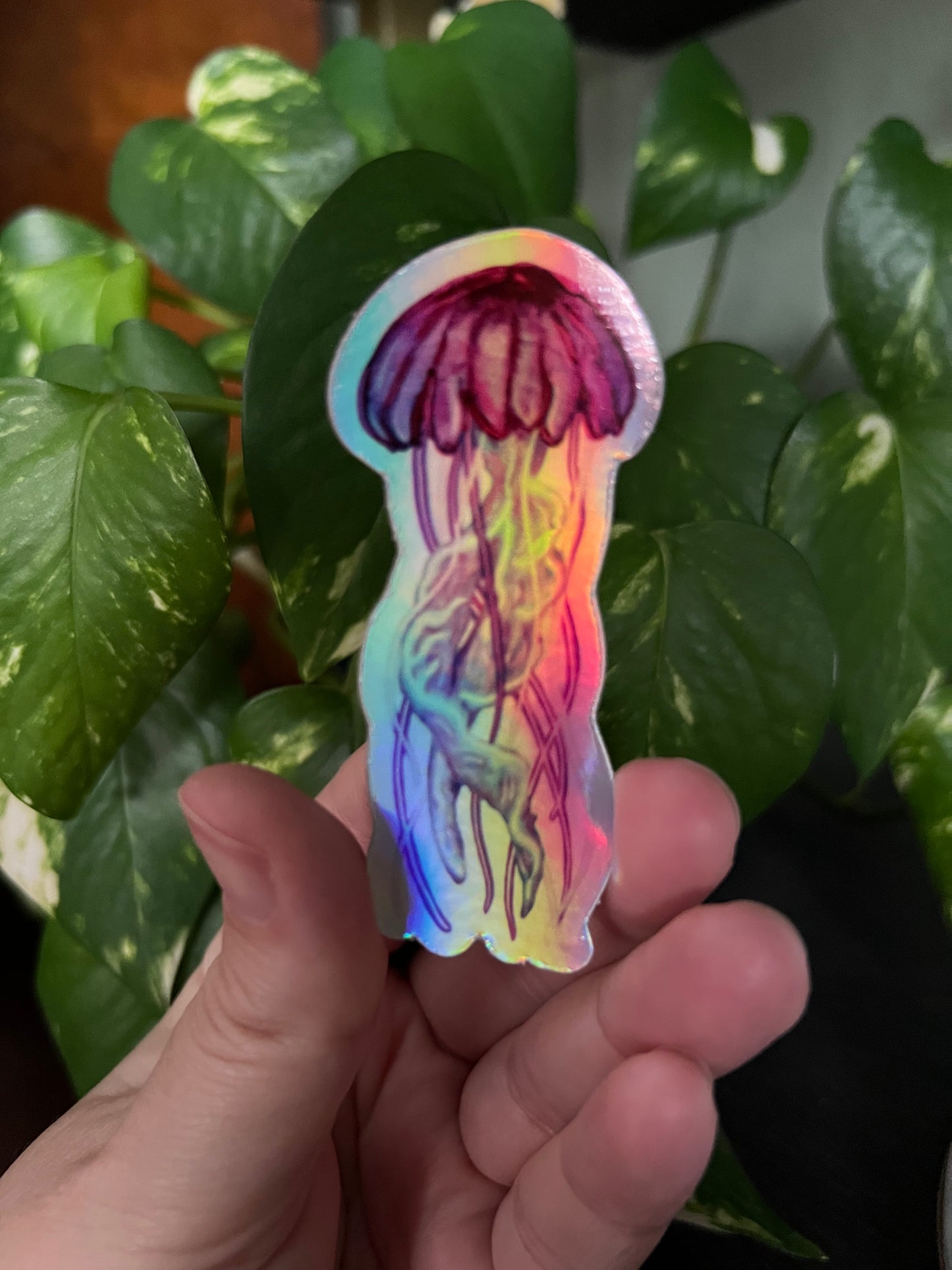 Pink Meanie Jellyfish Holographic Sticker