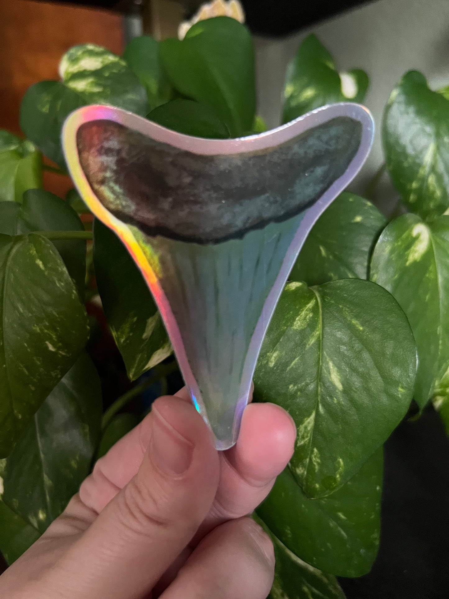 Relic of a Hunter Holographic Sticker