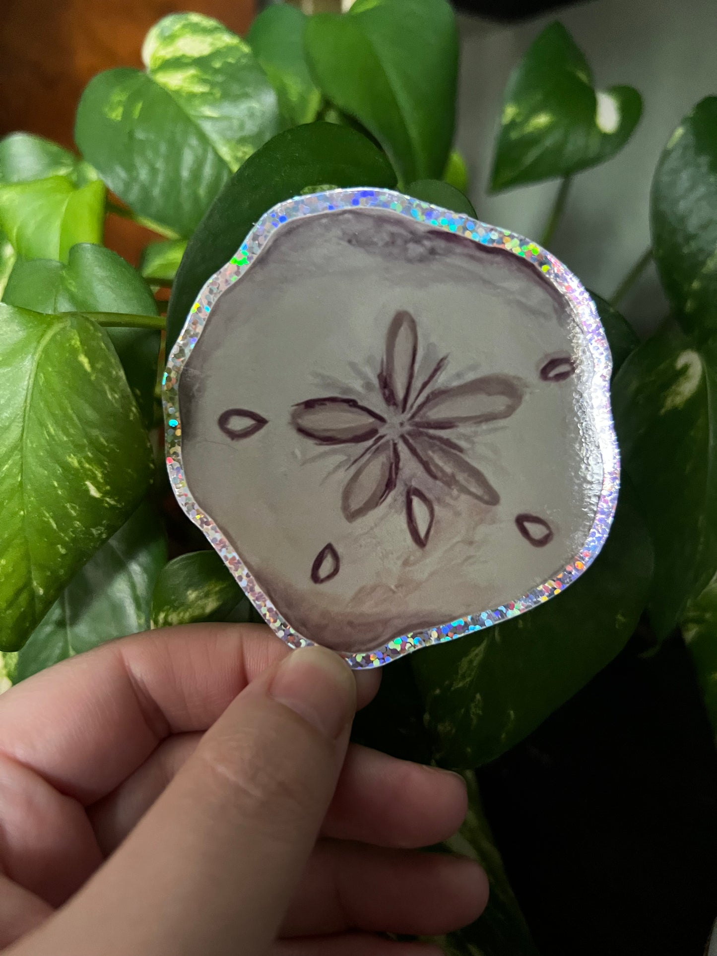 Sand Dollar Sparkle Sticker
