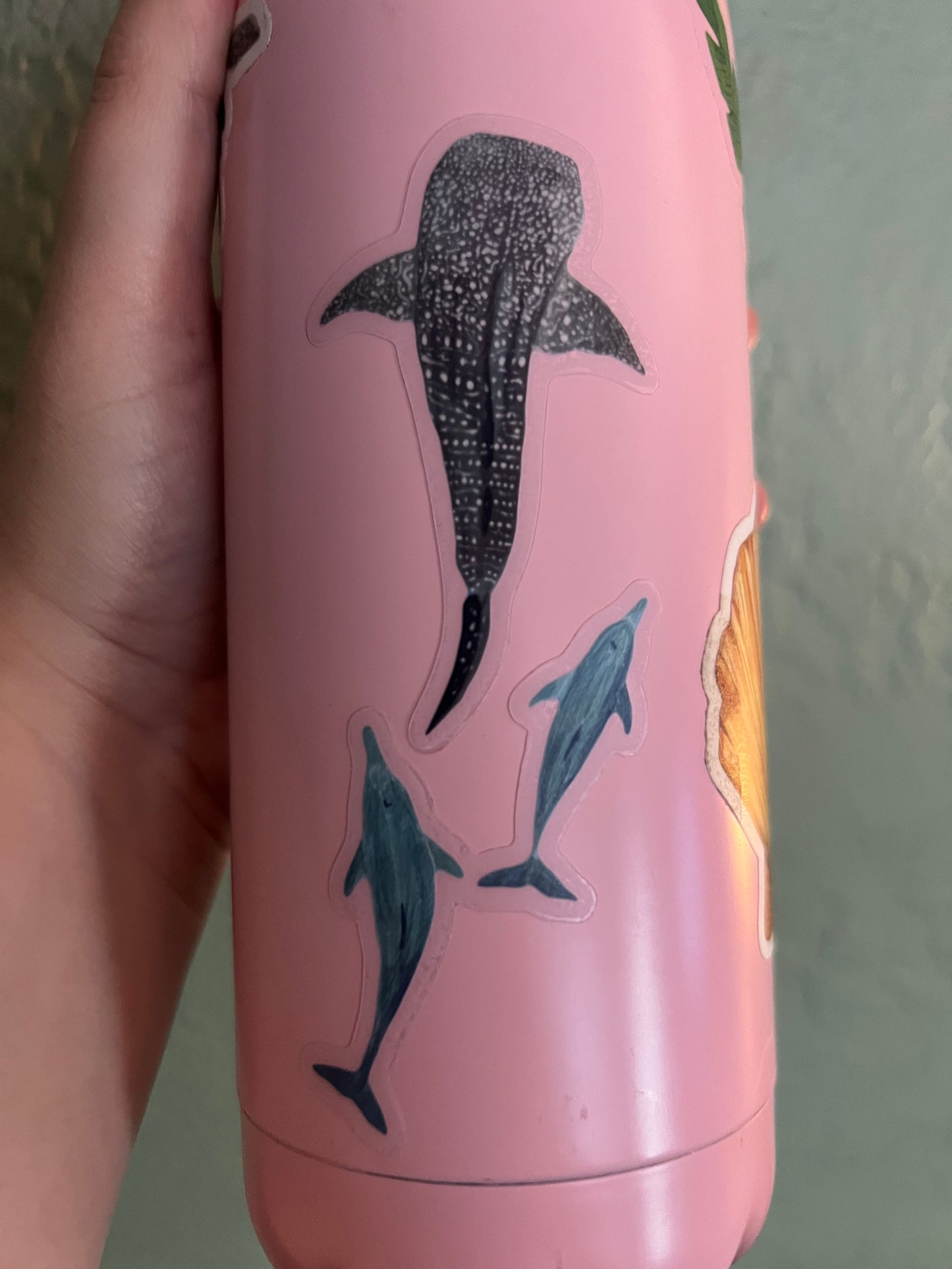 Whale Shark Clear Die Cut Sticker