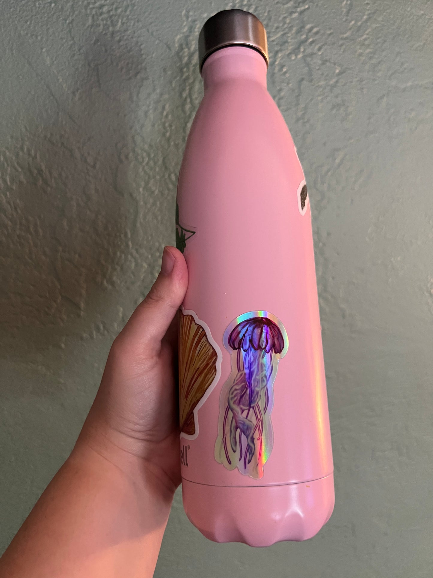 Pink Meanie Jellyfish Holographic Sticker