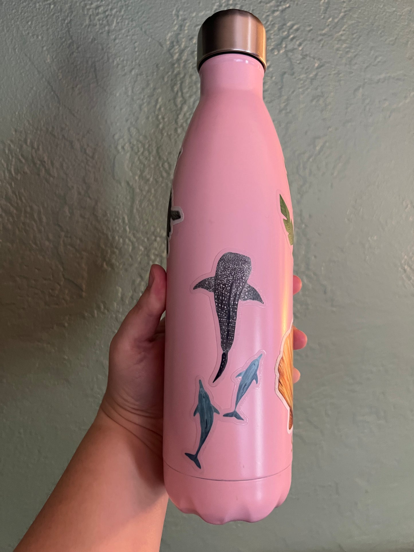 Whale Shark Clear Die Cut Sticker