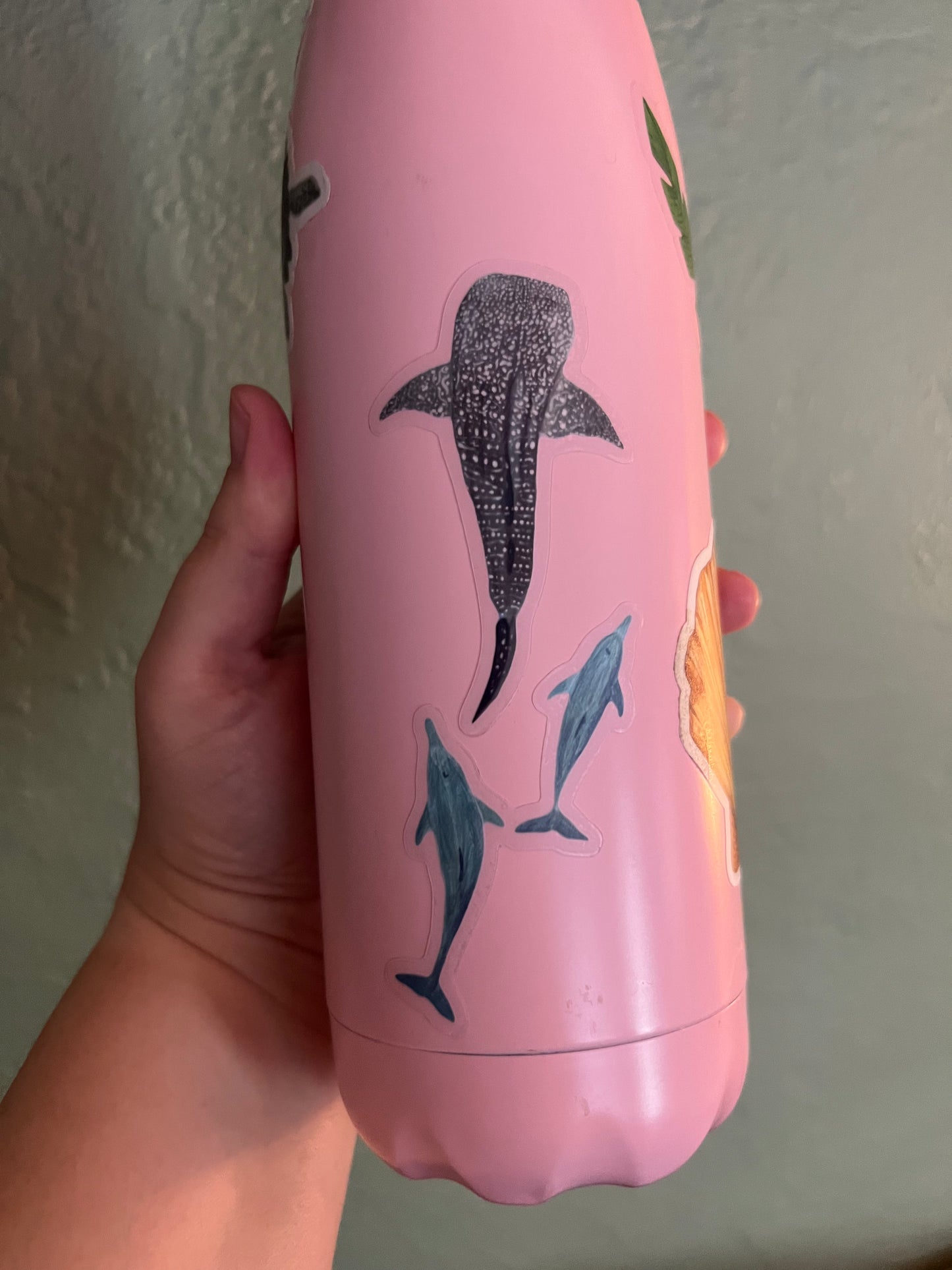 Whale Shark Clear Die Cut Sticker